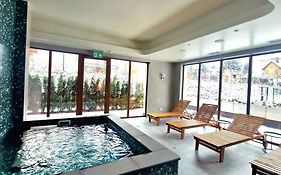 Zakopiańskie Igliwie Apartament&Spa